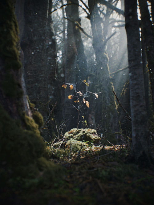 Photorealistic 3D rendering of a lush garden space featuring forest scenery and moss-covered design